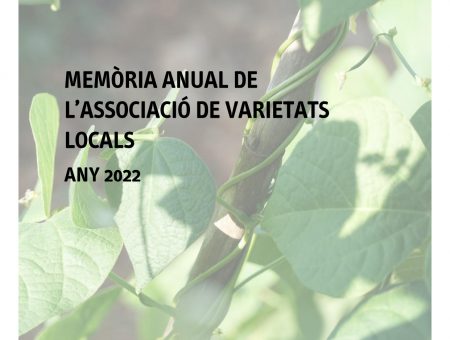 Memòria anual de l’AVL 2022