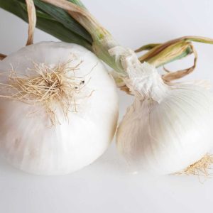 Mallorcan white onion