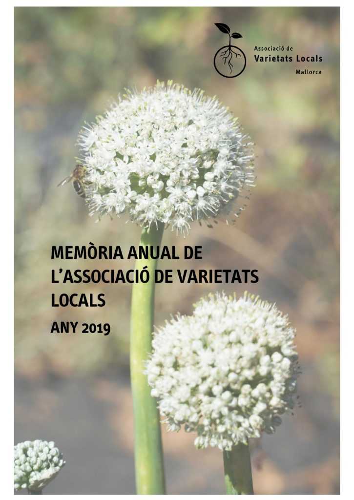 annual report avl 2019 1