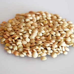 Mallorcan lentils