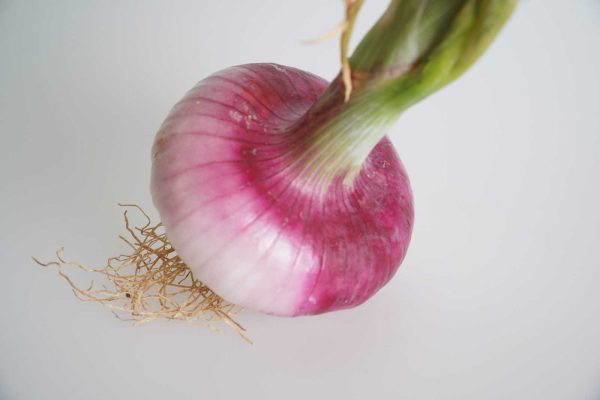 red Ibizan onion