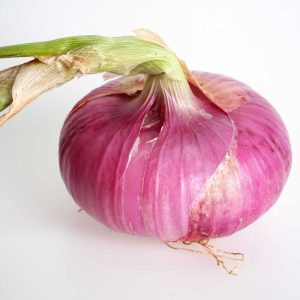 Andratx red onion