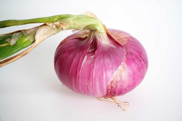 red onion from'andratx