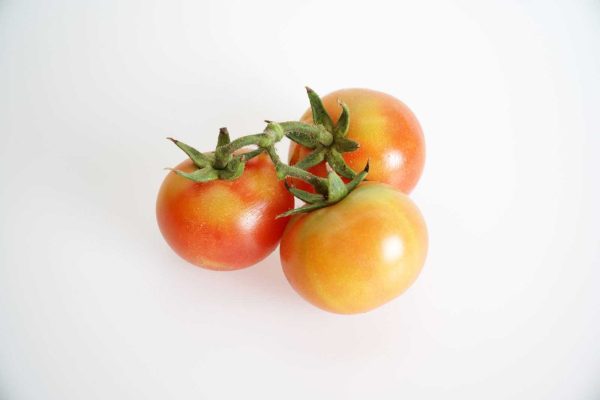 tomate de ramillete de mateta