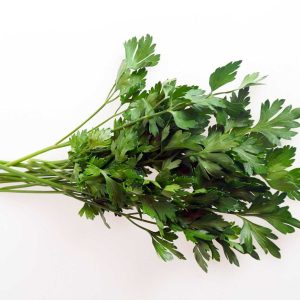 Mallorcan parsley