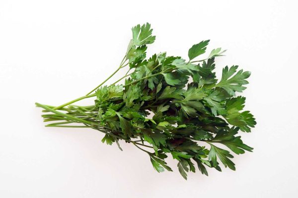 Majorcan parsley