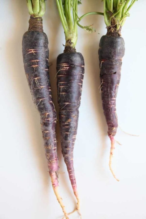 purple carrot