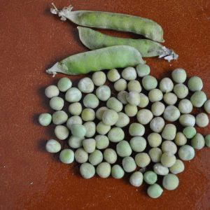 Peas from'