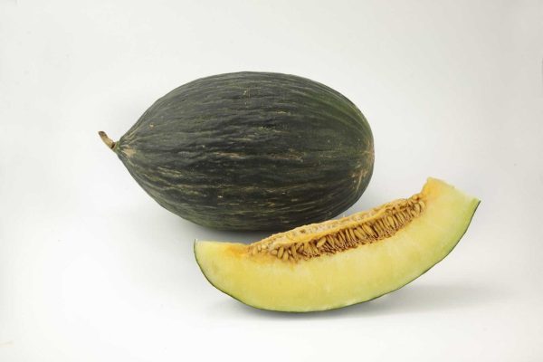 melon made