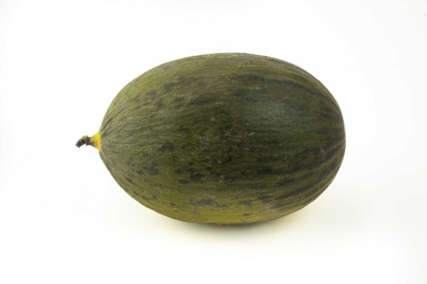 melón calápote