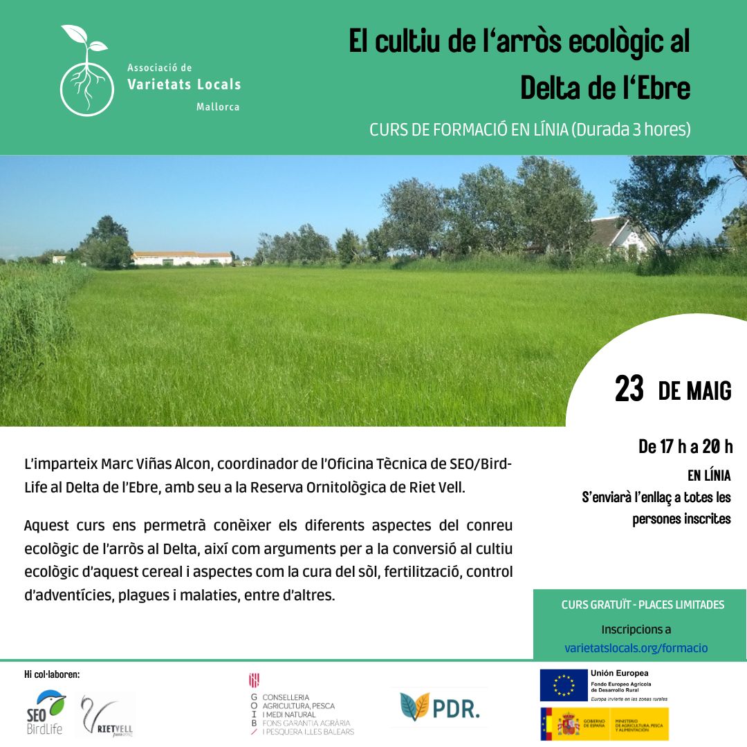 online course poster for growing eco rice in the Lebre delta mai24 1